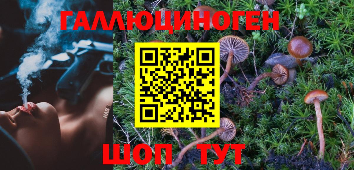 Галлюциногенные грибы Psilocybine cubensis Белая Калитва